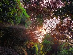 -重庆平顶山公园