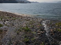 -绿城千岛湖喜来登度假酒店