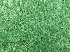 -肯德基(南站店)