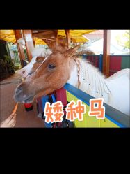 -欢乐舟·舟舟玩乐园