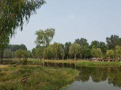 -东郊湿地公园