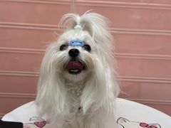 -FAELING PETS美天灵宠物(合生汇店)