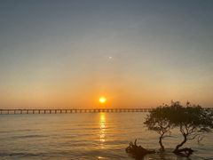 -宝安西湾红树林湿地公园