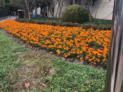 -人民广场-地下停车场