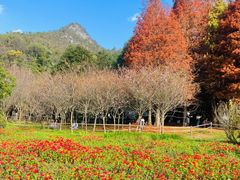 -贵阳市花溪国家城市湿地公园