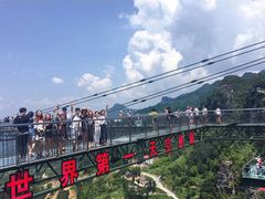 -梦幻奥陶纪景区