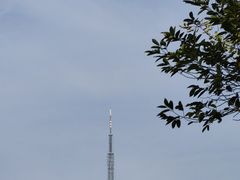 -大蜀山国家森林公园