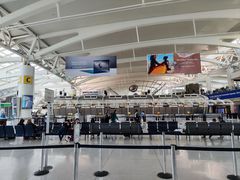 -约翰·菲茨杰拉德·肯尼迪国际机场