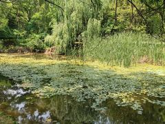 -长白岛森林公园