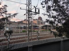 -莲花池公园