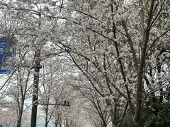 -馬伍旺川菜(江北虹悦城店)
