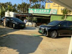 -东郊椰林