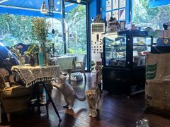 -花与咖啡馆(金星楼店)