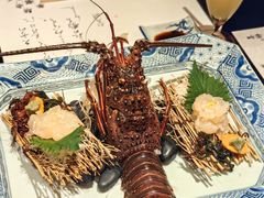 龙虾刺身-活伊势龙虾料理 中纳言(千日前味乐馆店)