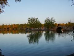 -金塔沙漠胡杨林景区