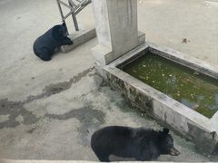 -保定市动物园