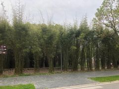 -武汉园博园(武汉自然博物馆)
