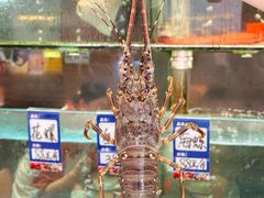 -荣基四海一家·家常菜·海鲜大排档(新安店)
