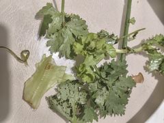 -老码头黑皮肘子锅包肉(赣水路店)