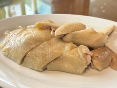 招牌启香鸡-启香鸡私房菜(湖景店)