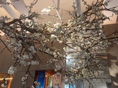 -梅花境(万科店)