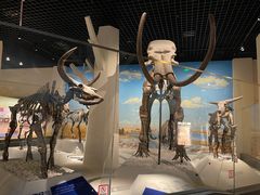 -国家自然博物馆