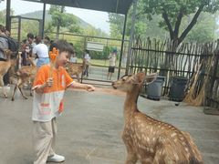 -南京汤山紫清湖生态旅游温泉度假区