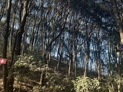-西湖风景区十里琅珰-五云山