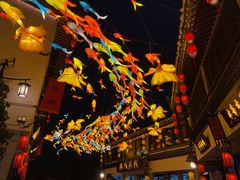 -花博汇(知音花月夜)