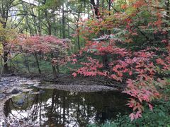 -关门山森林公园