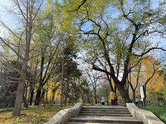 -玲珑塔公园