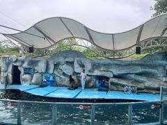 -泉州海丝野生动物世界