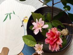 -虹御轩·传承江浙菜(虹桥店)