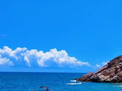 -广东惠东海龟国家级自然保护区