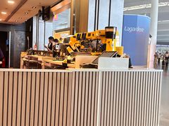 -麦当劳(禄口机场T2航站楼)