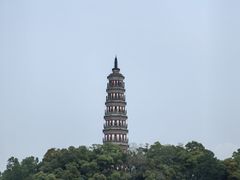 -顺峰山公园
