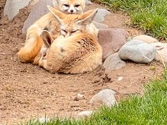 -北京野生动物园