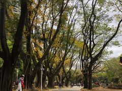 -人民公园(罗湖区)