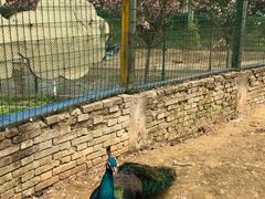 -武汉紫薇都市田园