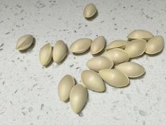 -木渎影视城