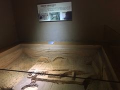 -洛阳周王城天子驾六博物馆