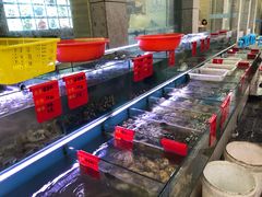 -金海湾海鲜排档(朱家尖店)