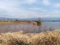 -西昌邛海湿地