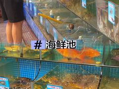 -范饭椰林川湘味海鲜·椰子鸡(三亚湾椰梦长廊店)