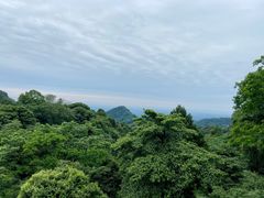 -青城山