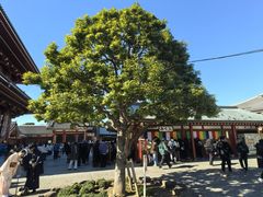 -浅草寺