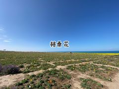 -青海湖国家重点风景名胜区