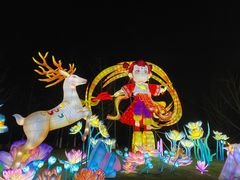 -武汉园博园(武汉自然博物馆)