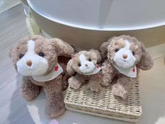-金鹰国际购物中心(江都店)