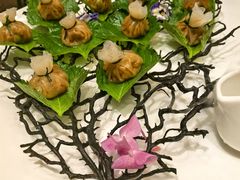 -新雅粤菜馆(南京东路店)